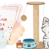 Essential Accessories for Welcoming a Cat to Your Home